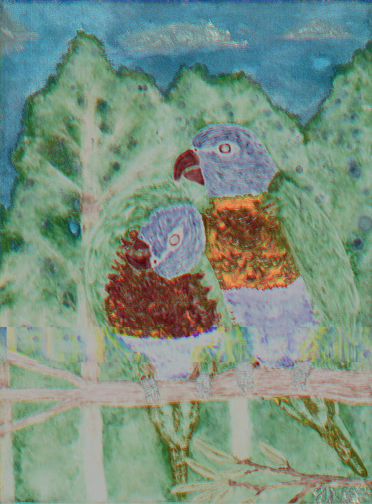 Preening Lorikeets Photo Art Print