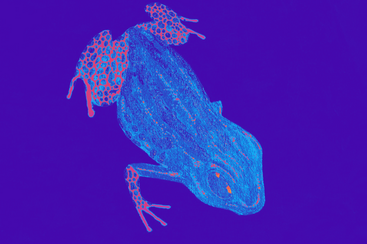 March of Frogress Alternate Design Photo Art Print