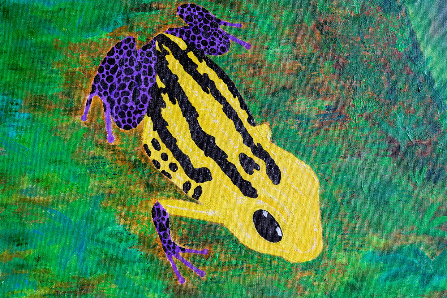 蛙进步行进摄影艺术版画